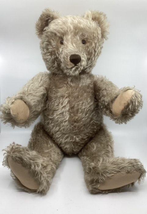 1950's steiff cheap teddy bear