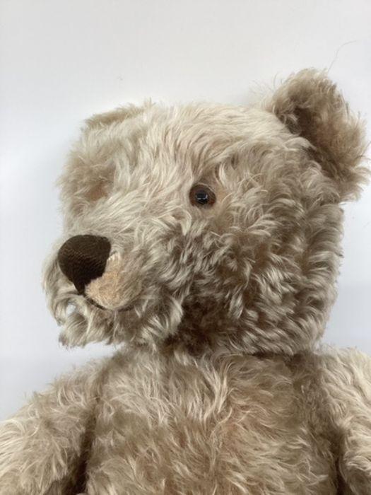 Ancien Ours En Peluche Pintel - 25 Cm - Mohair Et Paille - France 1940 - Teddy Bear