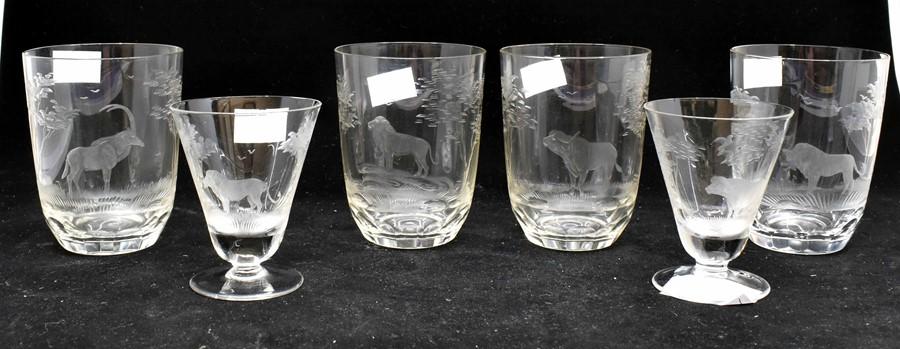 Wild African Animal Drink Glasses, Water Cup, Wine, Glassware